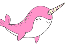 cute narwhal