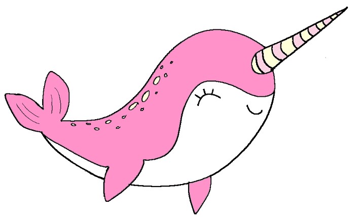 cute narwhal