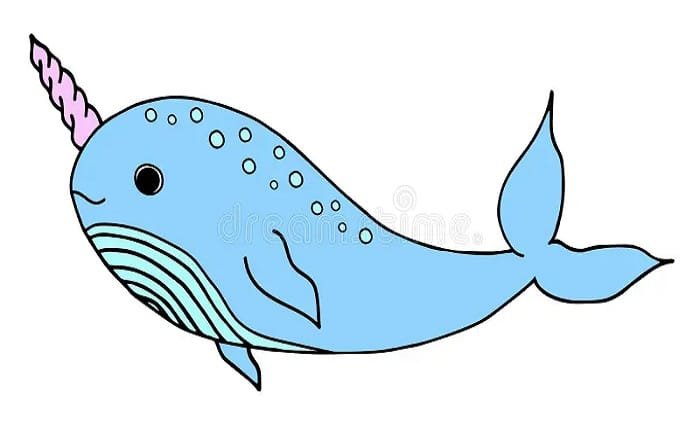 narwhal cute