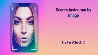 Facecheck ID Alternatives