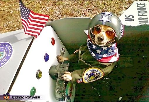 Fighter Pilot Dog Costume